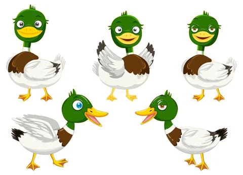 Cartoon mallard ducks set Stock Illustration