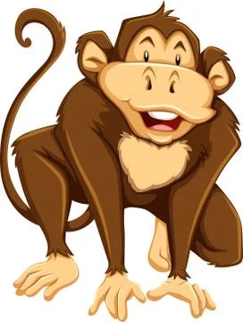 Cartoon monkey looks Stock Illustration