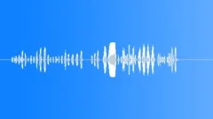 CARTOON, MONKEY Sound Effect
