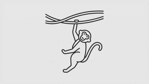 Cartoon monkey swinging line animation Stock Footage 342242289