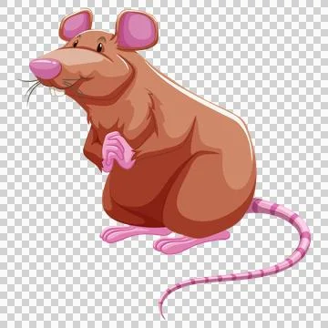Cartoon mouse sitting and looking up Ilustração Stock