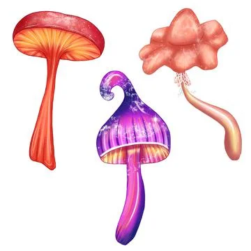 Cartoon mushrooms Stock Illustration