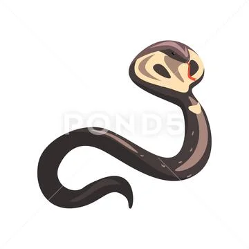 Cartoon naja or king cobra with tongue out. Longest venomous wild serpent with Stock Illustration