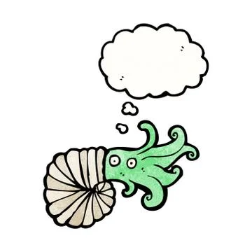 Cartoon nautilus squid Stock Illustration