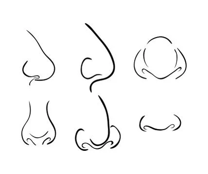 Cartoon nose SET,vector symbol icon design. Beautiful illustration isolated o Stock Illustration