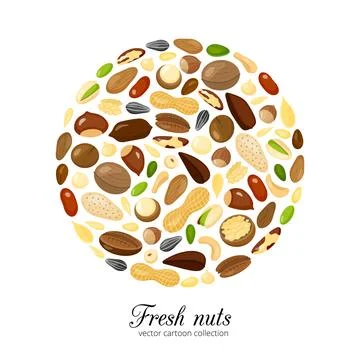 Cartoon nuts in circle. Stock Illustration