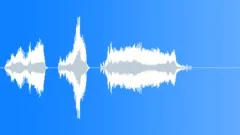 Cartoon old woman success shoutSound Effect