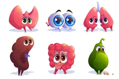Cartoon organs characters thyroid, eyes, lungs Stock Illustration