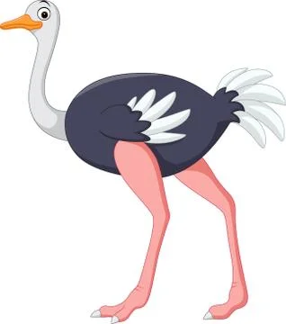 Cartoon ostrich posing Stock Illustration
