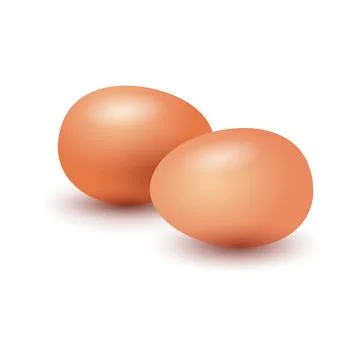 Cartoon pair of eggs Illustrazione stock
