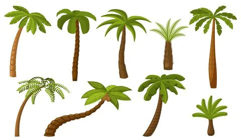 Cartoon palm tree. Summer coco palms, jungle coconut. Isolated beach plants Stock Illustration