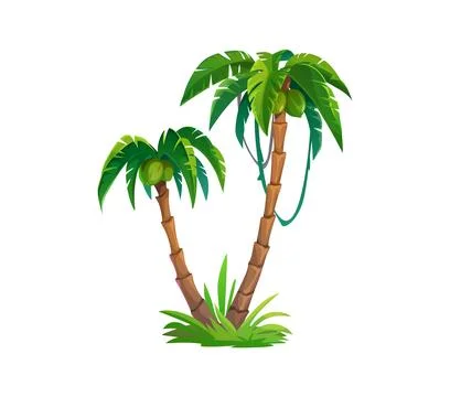 Cartoon palm trees with coconuts in jungle forest Illustrazione stock