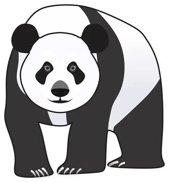 Cartoon panda character vector drawing on isolated background mammal animal Stock-Illustration