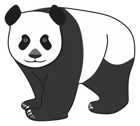 Cartoon panda character vector drawing on isolated background mammal animal Stock-Illustration