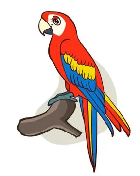 Cartoon parrot Stock Illustration