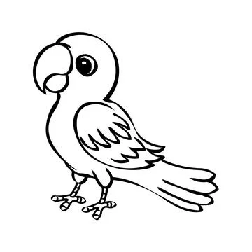 Cartoon parrot line drawing vector イラスト素材