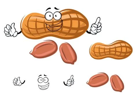 Cartoon peanut in shell with kernels Stock Illustration