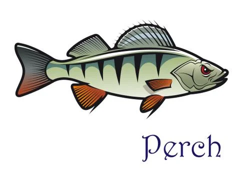 Cartoon perch Stock Illustration