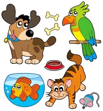 Cartoon pets collection Stock Illustration