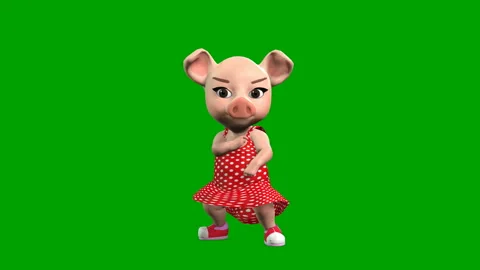 Cartoon Pigs Stock Footage ~ Royalty Free Stock Videos | Pond5