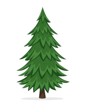 Cartoon Pine Tree Stock Illustration