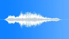 Cartoon Pirate Voice - ReloadSound Effect