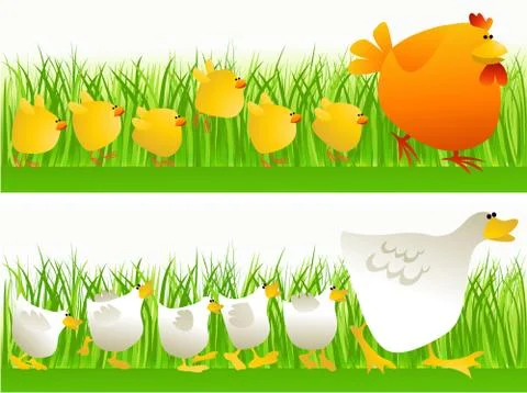 Cartoon poultry Stock Illustration