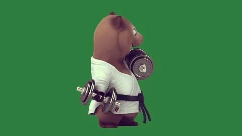 Cartoon Professional With Bear Transparent Background Animation Stock Footage 338016983