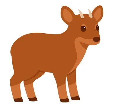 Cartoon Pudu deer vector drawing Stock Illustration