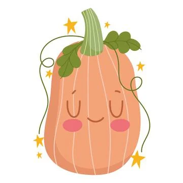 Cartoon pumpkin with leaf Stock Illustration