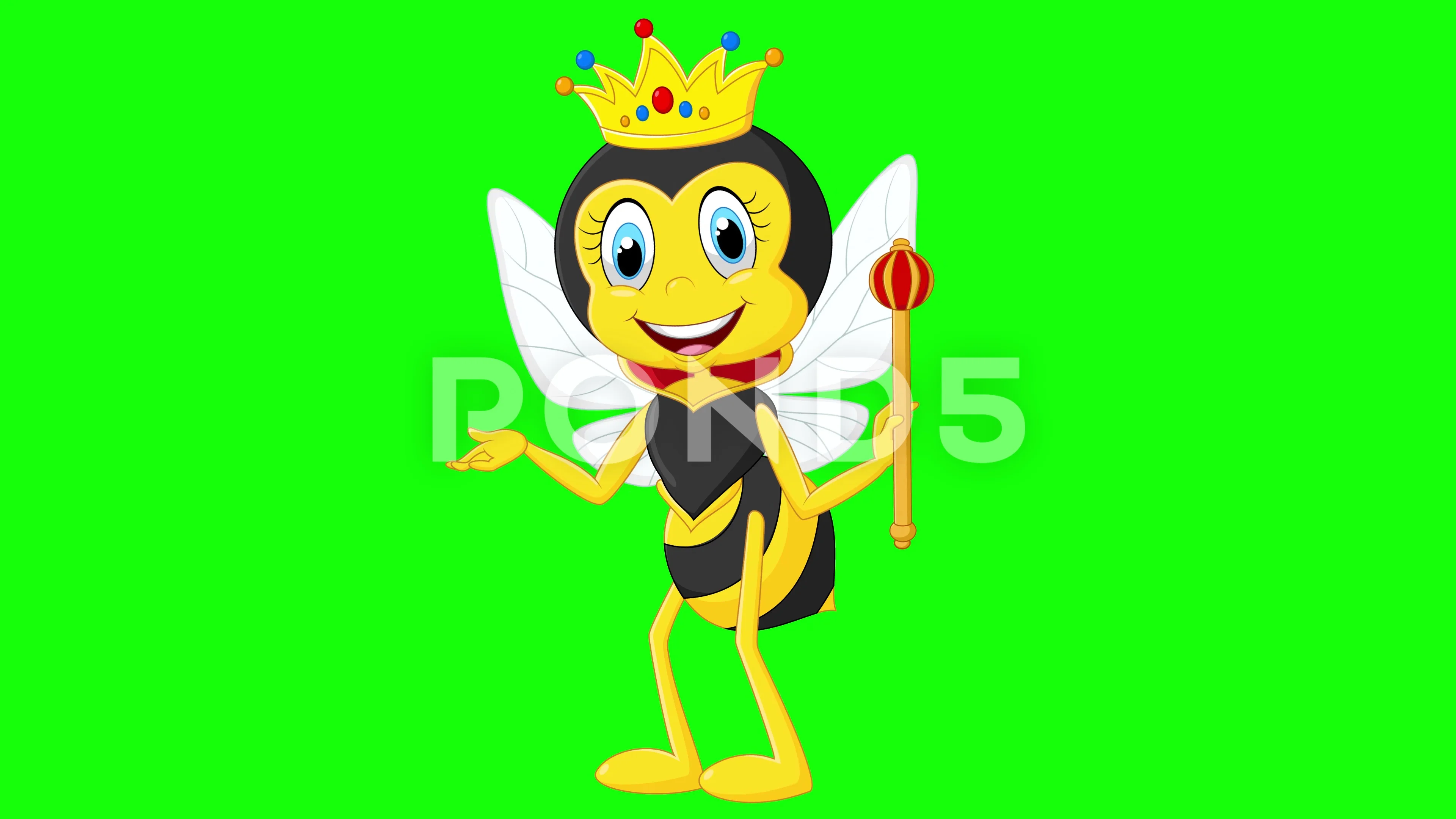 Cartoon Queen Bee Presenting Talk And Ex Stock Video Pond5