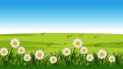 Cartoon Rainbow Arc Wipe Animation Over Grassy Meadow with Daisies Stock Footage 328137454