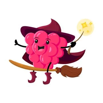 Cartoon raspberry berry wizard, mage or magician Stock-Illustration