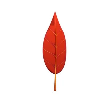 Cartoon red autumn leaf, fallen tree foliage Stock Illustration