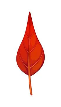 Cartoon red autumn leaf, fallen tree foliage Stock Illustration