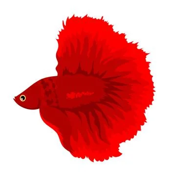Cartoon red betta fish, fighting fish, betta splendens crown tail isolated on Stock Illustration