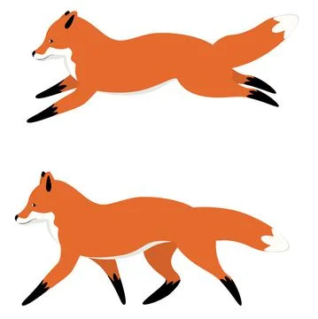Cartoon red fox Stock Illustration