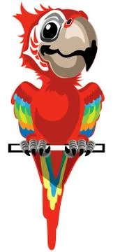 Cartoon red macaw Stock Illustration