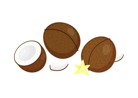 Cartoon ripe coconuts. Stock Illustration