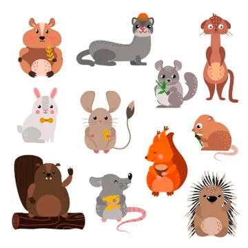 Cartoon rodents animals vector set Stock Illustration