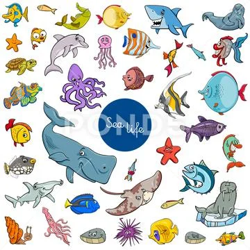 Cartoon Sea Life Animal Characters Set