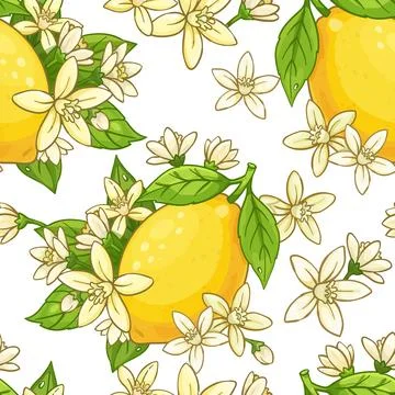 Cartoon Seamless pattern of a whole bright yellow lemon on a branch with gr.. Stock Illustration
