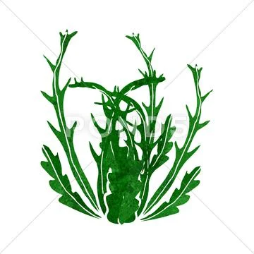 Cartoon seaweed Stock Illustration