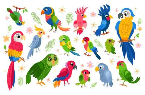 Cartoon set of vector tropical parrots characters Stock Illustration