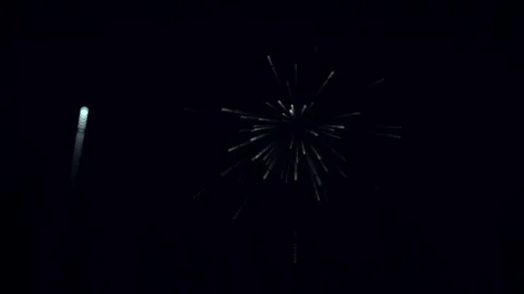 Cartoon Shape Style Firework Animation of Fireworks Multi color Multi Version Stock Footage 314659827