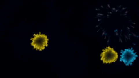 Cartoon Shape Style Firework Animation of Fireworks Multi color Multi Version Stock Footage 314659840