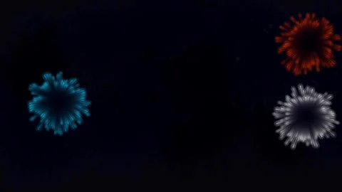 Cartoon Shape Style Firework Animation of Fireworks Multi color Multi Version Stock Footage 314659853