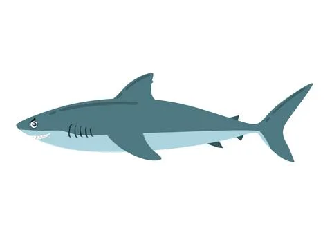 Cartoon Shark in flat style. Vector illustration of shark icon 스톡 일러스트