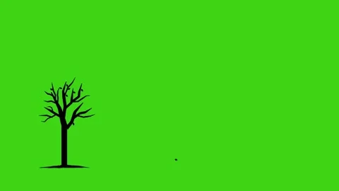 Cartoon shilouette dry tree with falling leaves. season element isolated green. Video stock 345021657