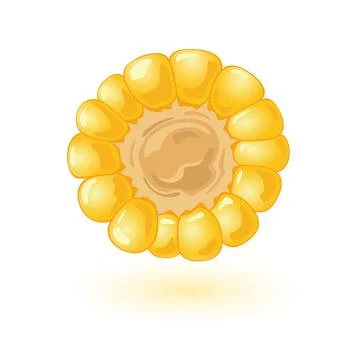 Cartoon side view of corn Illustrazione stock